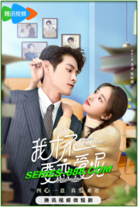 ดูซีรี่ย์ ยัยตัวร้ายไม่ยอมรัก Please Fall in Love (2023) ซับไทย-พากย์ไทย Ep.1-24 จบ