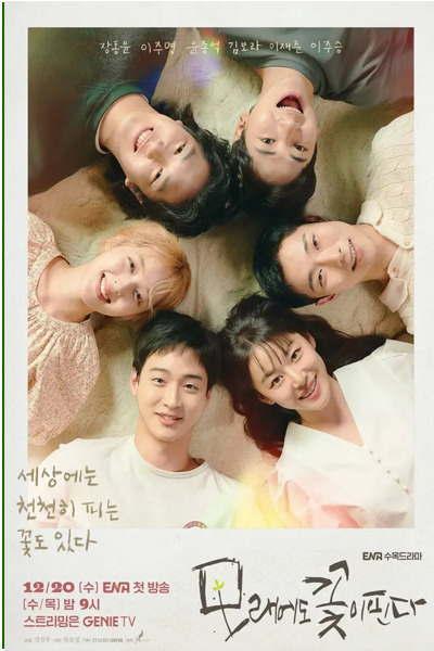 ดูซีรี่ย์ ดอกไม้สังเวียนทราย Like Flowers in Sand (2023) ซับไทย- พากย์ไทย Ep.1-12 จบ