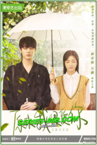 ดูซีรี่ย์ รักอีกครั้งก็ยังเป็นเธอ Crush (2021) พากไทย Ep.1-24 จบ