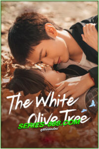 ดูซีรี่ย์ ปลูกรักพักใจ ใต้ต้นมะกอกขาว The White Olive Tree (2025) พากย์ไทย EP.1-38 จบ