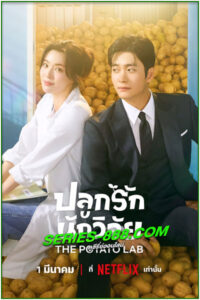 ดูซีรี่ย์ ปลูกรักนักวิจัย The Potato Lab (2025) ซับไทย EP.1-12 จบ