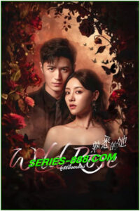 ดูซีรี่ย์ ทวงแค้นได้รัก Wild Rose (2025) ซับไทย EP.1-24 จบ