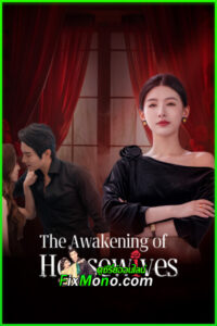 ดูซีรี่ย์ สงครามร้ายทลายรัก The Awakening of Housewives (2025) ซับไทย EP.1-20 จบ
