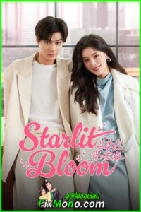 ดูซีรี่ย์จีน Starlit Bloom บังเอิญสะดุดใจได้เจอรัก (2025) ซับไทย EP1-24 (จบ)